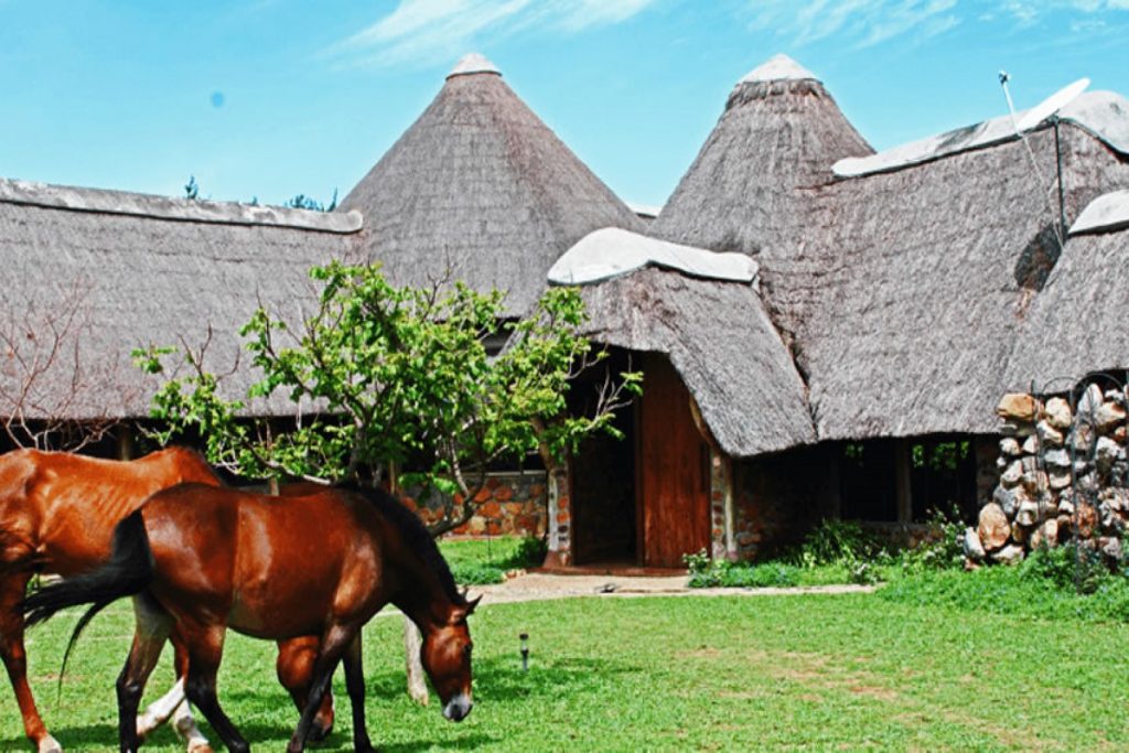 Lake Albert Safari Lodge, Murchison Falls National Park